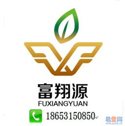 濟(jì)南公司代理記賬服務(wù)詳解 歷城區(qū)洪家樓易登網(wǎng)與知識(shí)產(chǎn)權(quán)代理的協(xié)同優(yōu)勢